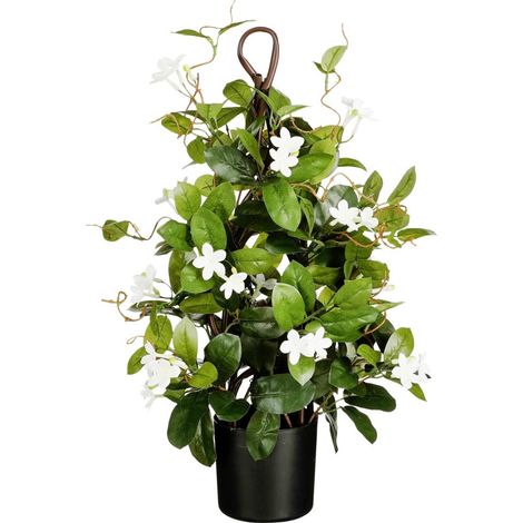 Mica Decorations Stephanotis im Topf Ø 30 x 60 cm grün Zimmerpflanzen