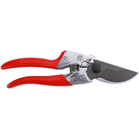 Sécateur forgé à lame droite, outils de taille pour arbres fruitiers, ciseaux de jardin, cisaille à branches, cisaille à arbres fruitiers (1/5)