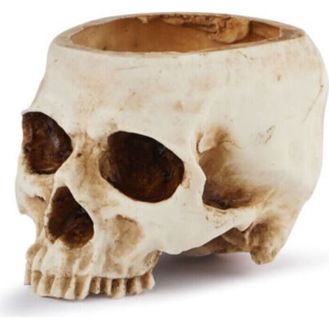 Pot de Fleurs Tête de Mort en Résine Vase Tête de Mort Modèle de Tête en Résine pour Halloween Fête, Décorations d'Intérieur