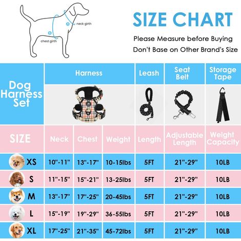 Harnais pour chien avec laisse et ceinture de sécurité - Réglable et réfléchissant - Confortable pour promenade et dressage