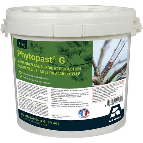 Mastic polyvalent PHYTOPAST 5 kg