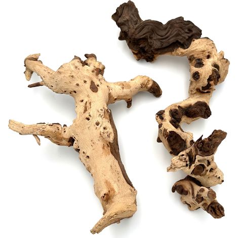Racine de mopani BioRoot pour terrarium et aquarium L 30-40 cm (1/5)