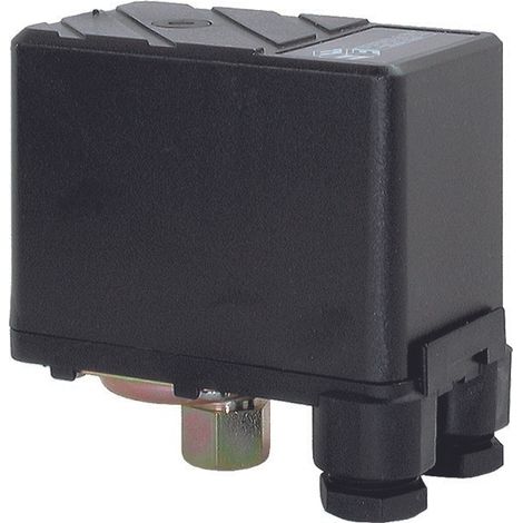Pressostat pour autoclave avec raccord tournant