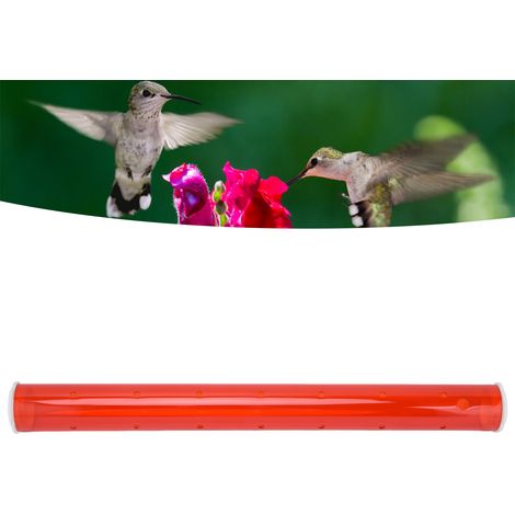 Mangeoire/abreuvoir pour colibris longue et transparente rouge (1/5)