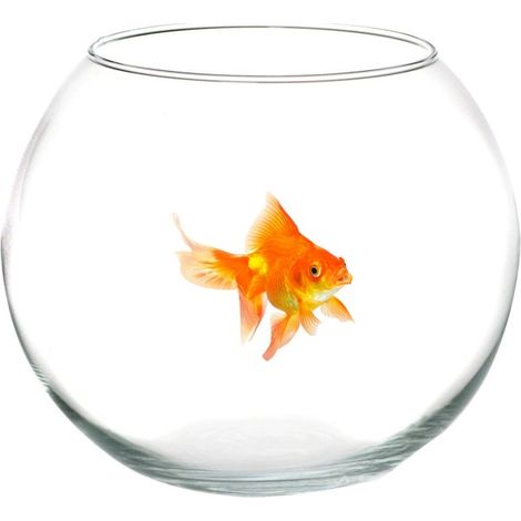Trade Shop - BAU FÜR FISCHEREI IN VETRO 20 CM ACQUARIO PESCE ROSSO CENTROTAVOLA - (1/4)