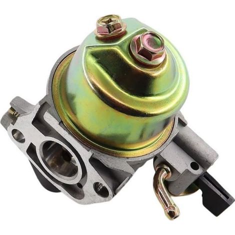 Carburateur avec joint et bougie d'allumage pour tondeuses à gazon Honda GXV120, GXV140, GXV160, HR194, HR195, HR214, HRA214, HR215 (1/5)