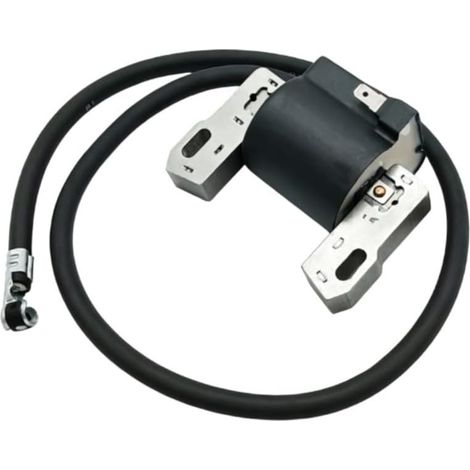 Module d'allumage pour précis pour Gazon 398265 Module d'allumage Haute tension, démarrage , compatible modèles 398811, 395492, usage gazon intense (1/5)