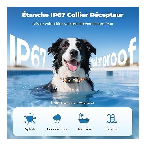 Electric Dog Collar, Dog Training Collar with Remote Control (1/4)