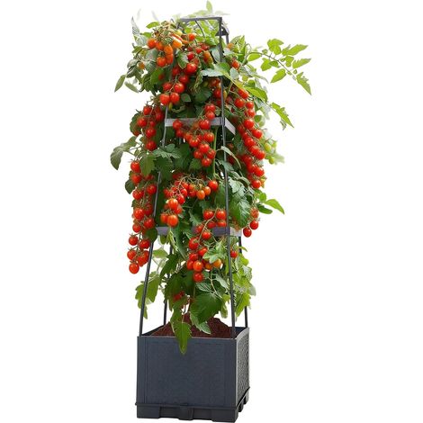 3-stufige Tomatenturm mit Rankhilfe (28×28×114 cm, 14 L), selbstbewässernder Pflanzenturm in Anthrazit. für Tomaten (1/5)