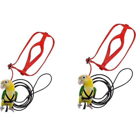 Set aus Vogelgeschirr und Leine (2er-Pack), verstellbares Papageiengeschirr, bissfeste Leine – Größen S und M (1/5)