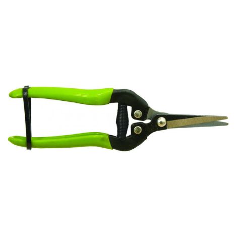FORBICI RACCOLTA LAME INOX