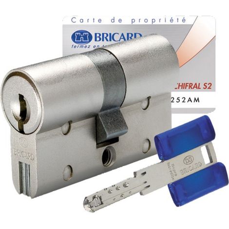 Bricard – Cylindre de serrure européen double entrée 30x70mm – 3 clés – Laiton nickelé – Sécurité optimale – Garantie 10 ans (1/3)