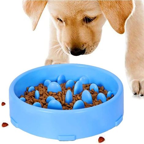 Bowl power supply Lente for Dogs, Slow Feeding Design Anti-slip Fun Interactive Nourrir The Cats and The Dogs for Bowl, Favorise A Power Healthy(Blue) (1/5)