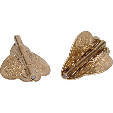 Lot de 2 charnières antiques en laiton, petites charnières pour tiroirs, portes, armoires, tables pliantes, etc. (1/5)