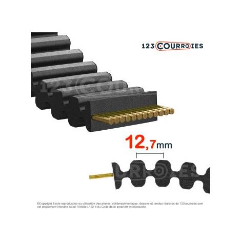 Courroie double dentée 395DH150
