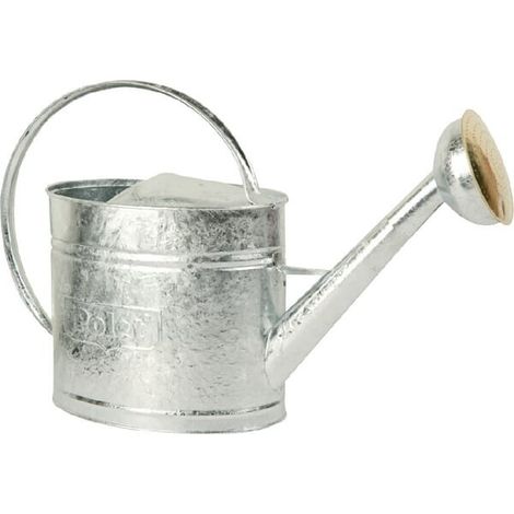 Regadera POLET PO790213 (1/2)
