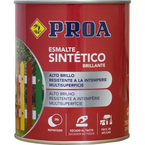Vernis synthétique brillant Vert piscines 750 ml (1/4)