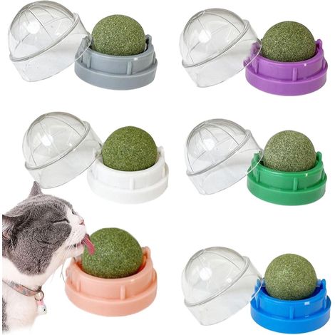 Lot de 6 boules à chat - Mur à l'herbe à chat - Brossez les dents de votre chat et protégez votre estomac - Jouet anti-fuite avec herbe à chat - Jouet anti-fuite de chat (1/5)