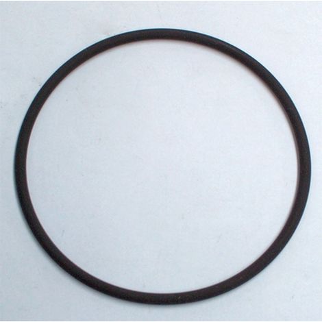 DAIKIN O-Ring per flangia bruciatore per ROTEX A1 BO fino al 2018, 5005012