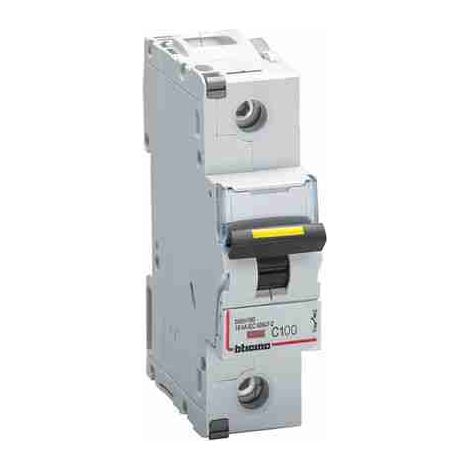 BTIFT81C100 Modularer Leistungsschalter BTDIN160 1P Kennlinie C - In= 100A