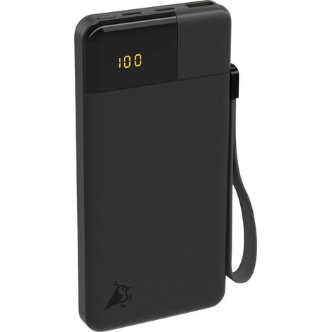 Aqiila Powerbird B10B Powerbank (batterie supplémentaire) 10000 mAh LiPo USB-A, USB-C® noir (1/5)
