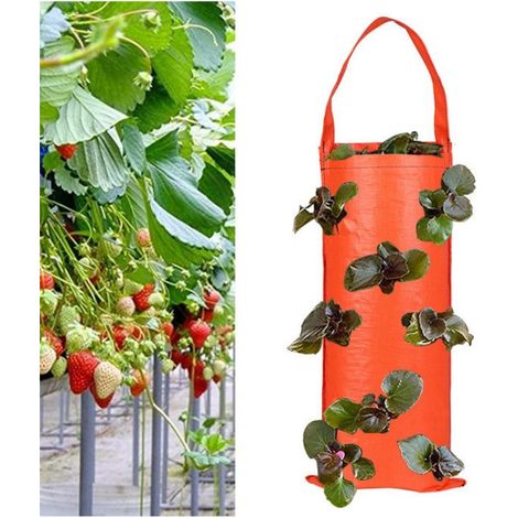 1 umgekehrter Kultursack Tomaten/Erdbeeren - 8 Belüftungslöcher - Innen/Außen - Kompakt & ökologisch (Orange)