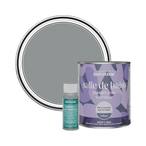 Peinture pour Carrelage de Salle de Bain, Finition Brillante - Anthracite Moyen 750ml (1/3)