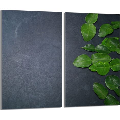 Placa protectora de vidrio para estufa 2x30x52 Pizarra (1/5)