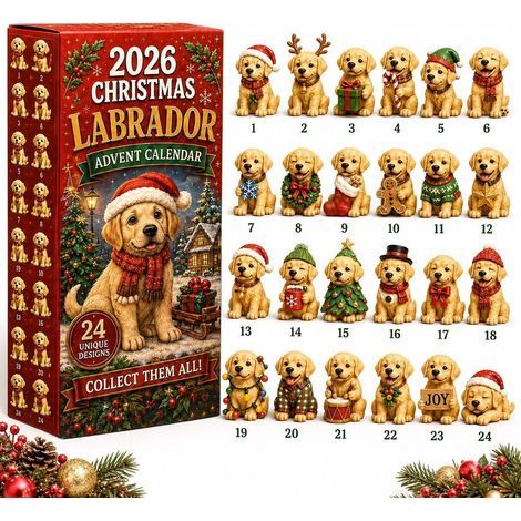 Weihnachts-Adventskalender Labrador 2026 2D Überraschungsbox
