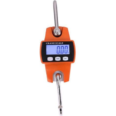 Balance Crochet Suspendu 300kg - Peson Electronique LCD Industriel 300kg/600lbs (1/4)