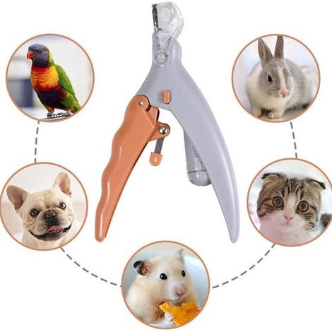 Cortauñas para mascotas - Luz LED - Bandeja recolectora - Cortauñas para perros - Corte seguro - Acero inoxidable - Blanco (1/5)