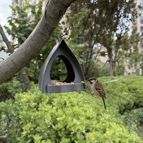 Großvolumiger, robuster und eichhörnchensicherer Vogelfutterspender für den Außenbereich – einfache Montage – ideal für Balkone und Gärten, Naturliebhaber und Vogelbeobachter (1/5)