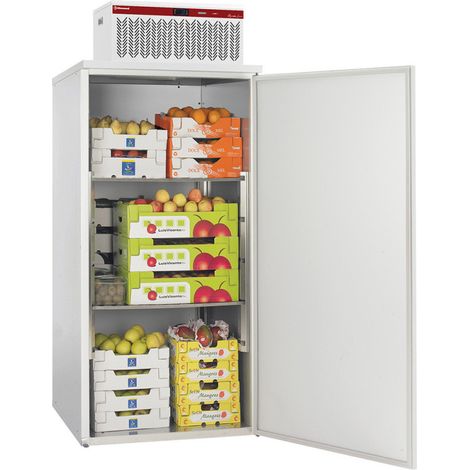 Armoire Réfrigérante +2° à +8° - Compacte et Durable - 935x995x2390mm - Diamond