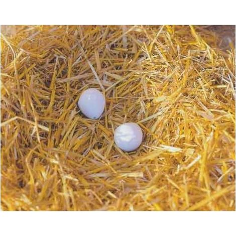 Œufs factices en bois Kerbl (lot de 2) - CBA