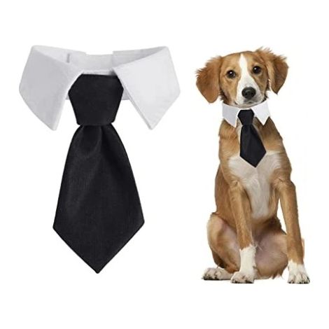 Krawatte für Hund und Katze, Universal-Klettverschluss, elegantes Hochzeitsoutfit, Größe S