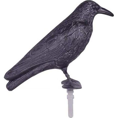 épouvantail à corbeaux en plastique résistant aux intempéries – Installation facile avec crochets – Efficace contre pigeons et oiseaux nuisibles (1/5)