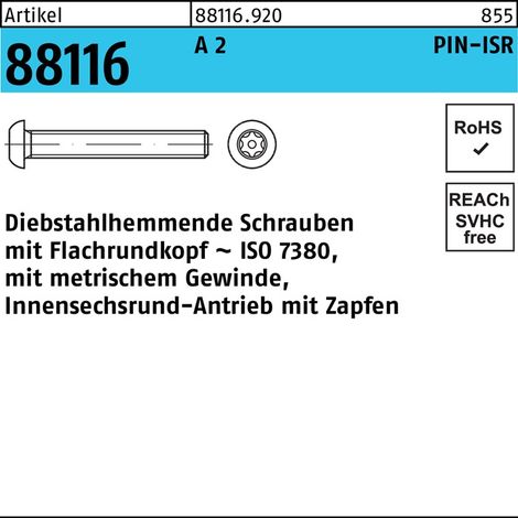 Vis R 88116 antivol ISR tourillon M8x 30-T40 A 2 100 pièces
