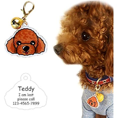 Lot de 2 plaques d'identification pour chien - 98 formes - Légères et personnalisées - Avec clochette (1/5)