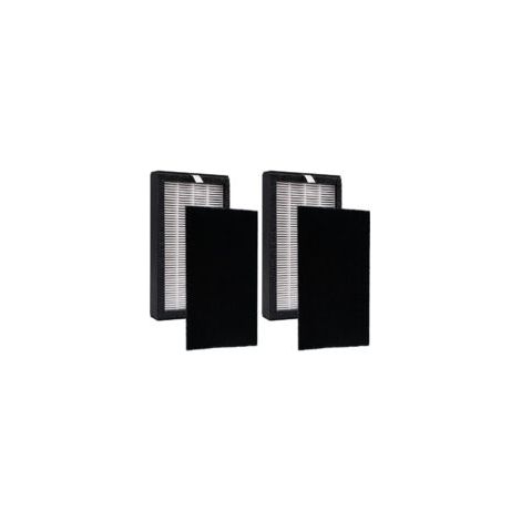 Ersatzfilterset für FLT4100, kompatibel mit den Luftreinigern GermGuardian AC4100, AC4100CA, AC4150BL, AC4150PCA, AC4150PC und AC4175W. Enthält zwei H13 HEPA-Filter.