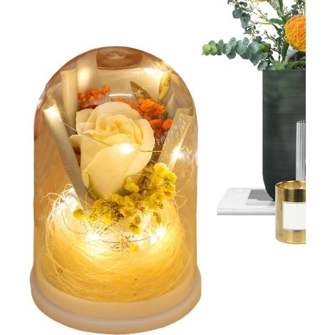 Fleurs Préservées Éternelles Bouquet de Roses Éternelles sous Cloche  Fleurs Perpétuelles avec Lumière Offrir à Maman, Femmes, Sœur, Fille, Épouse, Elle, Saint-Valentin, Petite Amie, (1/5)