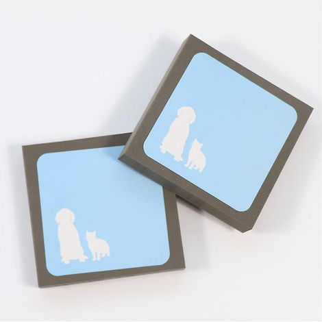 Nettoyant pour poils d’animaux de compagnie (1/5)