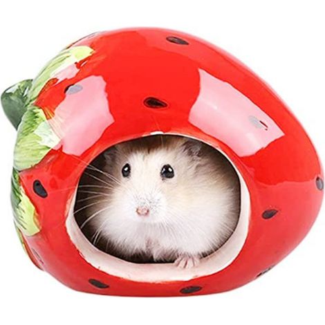 Hamster House Hideout Céramique Lit en forme de fraise Mignon petit animal de compagnie (1/3)