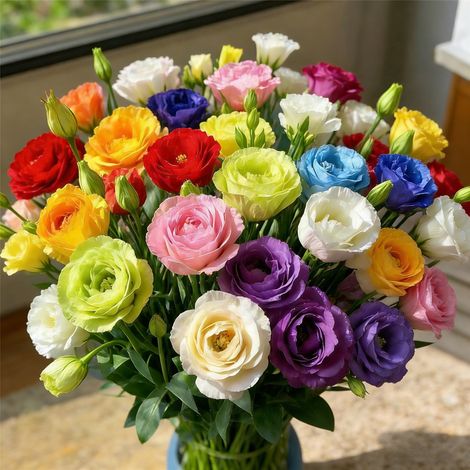 3000 Double Lisianthus Seeds – Multicolour Mix, Non-GMO, Elegant Annual Flowers for Garden, Easy Outdoor or Pot Cultivation (1/5)