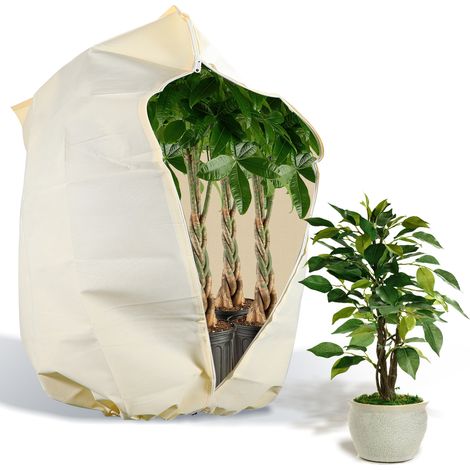 Randaco Pflanzen Winterschutz 200x240cm 100g/m2 Dickes Material Reißfest Waschbar Pflanzen überwinterungszelt Wintervlies - 2er (1/5)