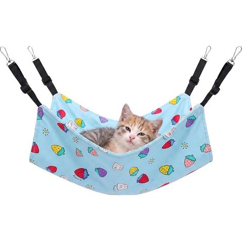Hamac Chat, Hamac Chat Fenetre