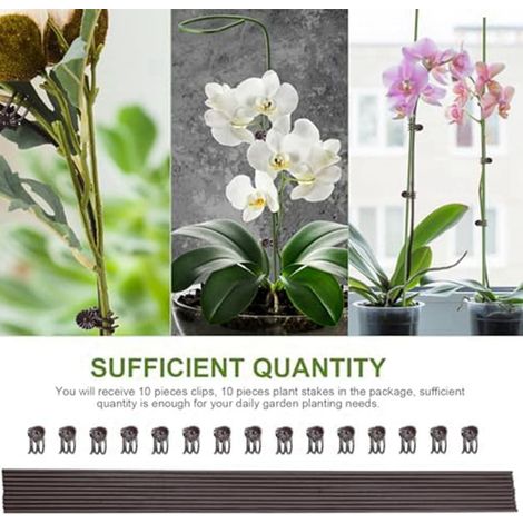 Plant Support - 50 cm Bendable Metal Stake with Clip - Indoor Outdoor Garden Use - 10 pcs (1/5)
