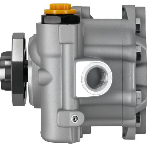 Power Steering Pump for VW T4 1.9D 2.0 2.4D 2.5 Bus Kasten 1990-2003 701422155BX (1/5)
