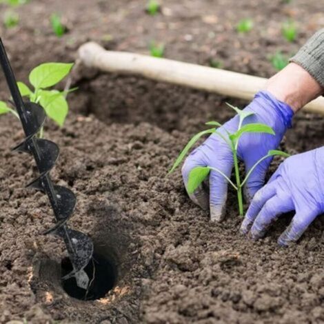 Tarière Pour Perceuse - Acier Noir - 5 x 22 cm - Pour Plantation De Plantes Légumes Fleurs Arbres Fruitiers Et Graines - 1 Pièce (1/3)