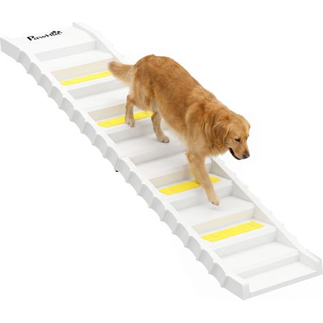 Rampe d'accès pour chien pliable à 10 marches pour voiture. avec bandes et pieds antidérapants. blanche (1/5)