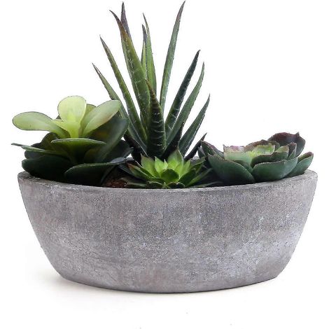 Plante succulente artificielle en forme de bateau, vert foncé, fausse plante décorative (bonsa) (1/5)